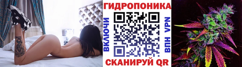 Шишки марихуана THC 21%  Саки 